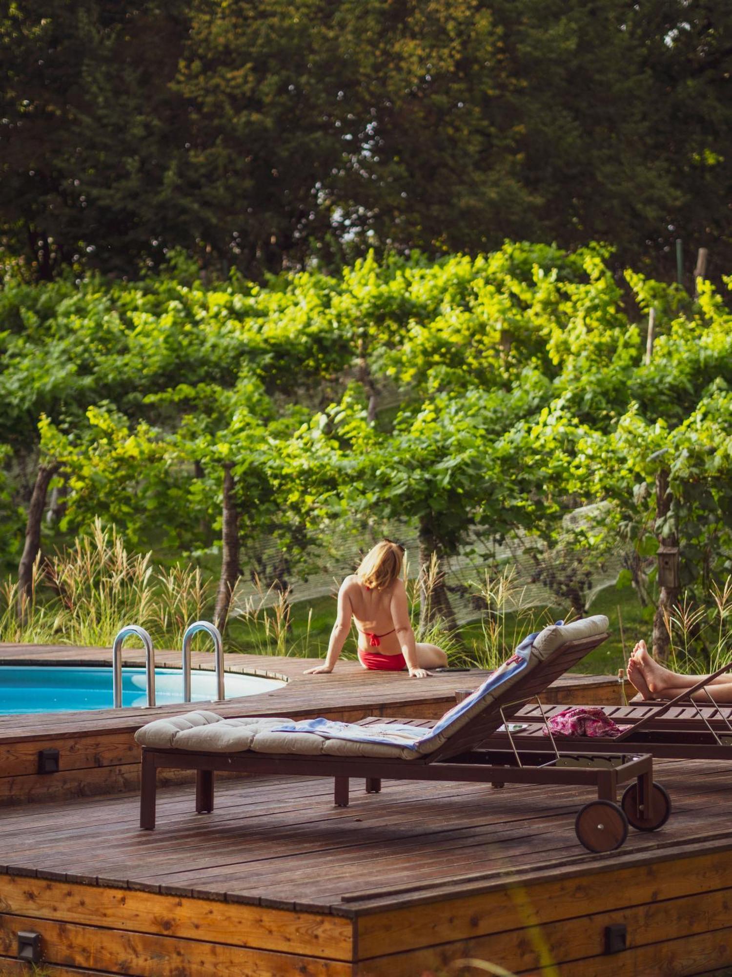 Sen I Wino, Domki Na Winnicy Ze Strefa Spa Zywiec Ngoại thất bức ảnh